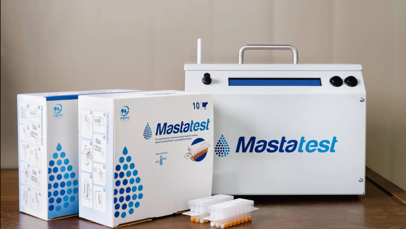 Mastatest.jpg Mastatest