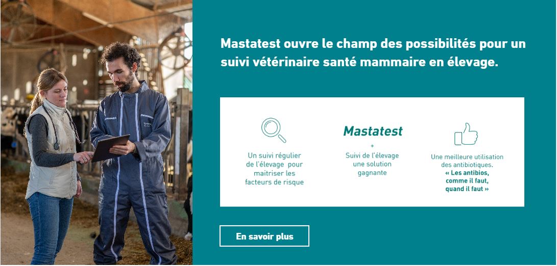 Champs des possibilités mastatest