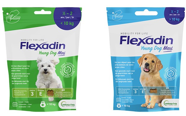 Flexadin Young Dog Mini/Maxi