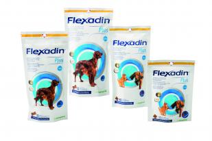 Flexadin Advanced Original Chien