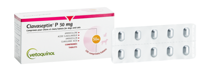 Amoxicilline chat achat