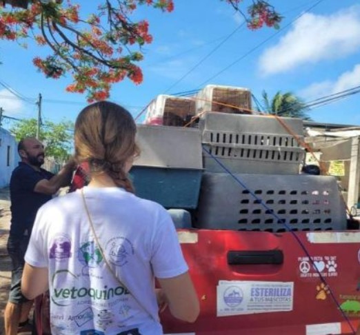 Vetoquinol France soutient l'association VET’ONIRIS Sans Frontière