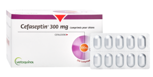 Cefaseptin 300 mg comprimés pour chiens
