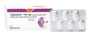 Cefaseptin 750mg comprimés pour chiens