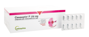 Clavaseptin 250mg