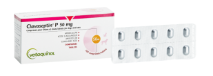 Clavaseptin 50mg