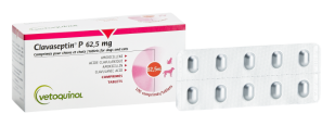 clavaseptin 62,5mg