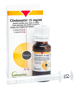 Clindaseptin® 25 mg/ml solution buvable
