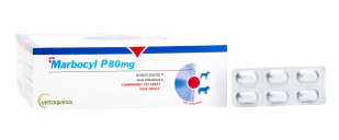 Marbocyl® P 80 mg